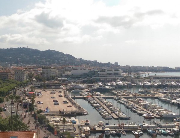 Cannes blog