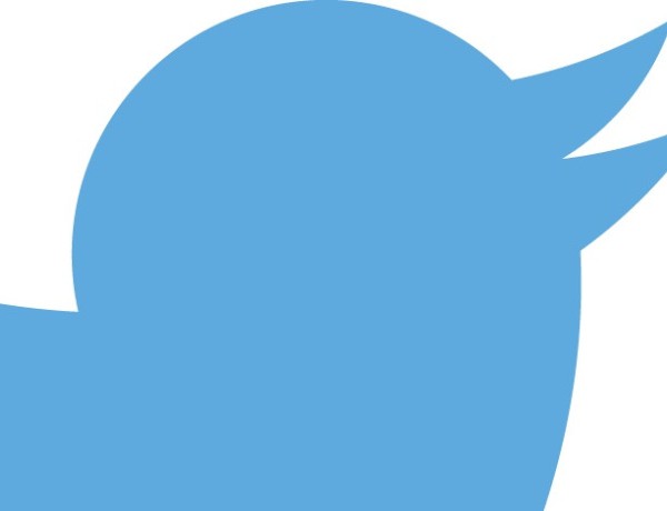 Twitter logo crop