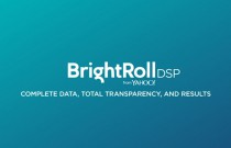 BrightRoll DSP: Complete data, total transparency, and results