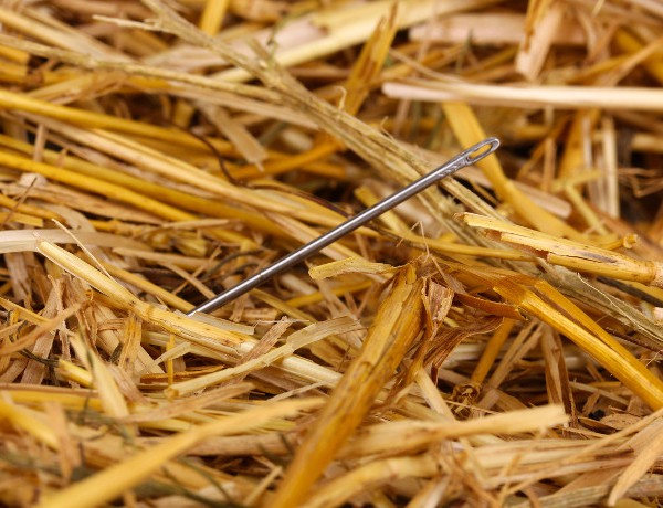 Needle haystack 2
