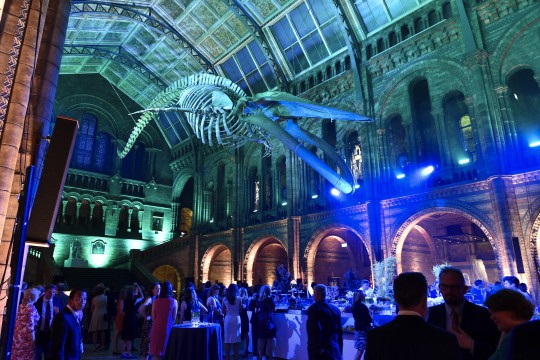 VIP launch of  Hintze Hall, 13th July 2017